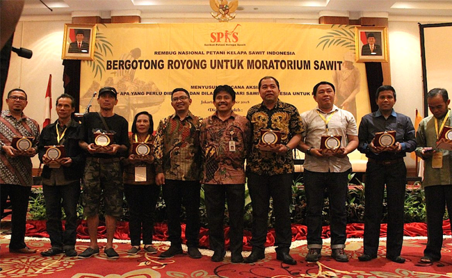 Moratorium Sawit Berikan Keuntungan Riil Bagi Petani