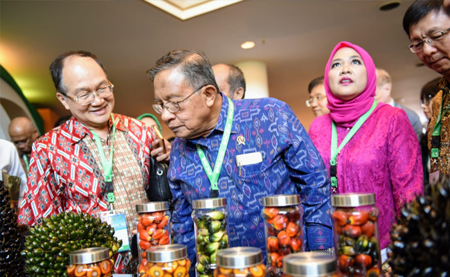 Pemerintah Optimalkan Kebijakan Kelapa Sawit Berdaya Saing dan Pro-Masyarakat