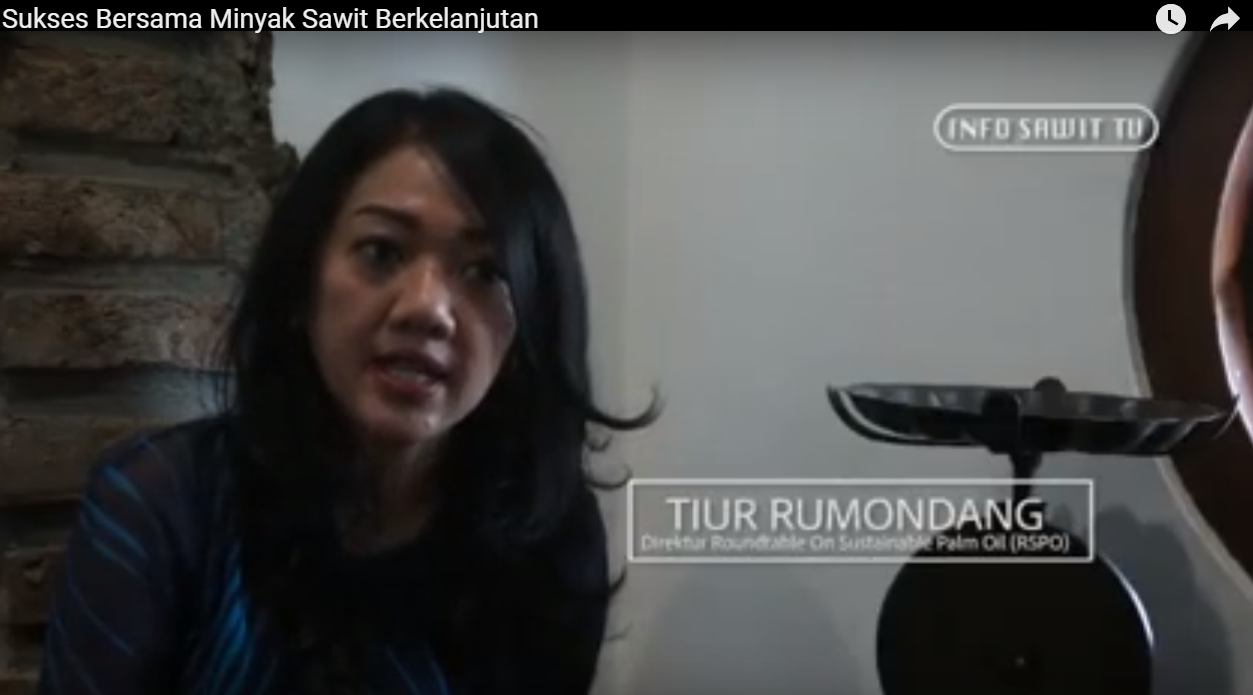 Sukses Bersama Minyak Sawit Berkelanjutan - infoSAWIT TV - Tiur Rumondang