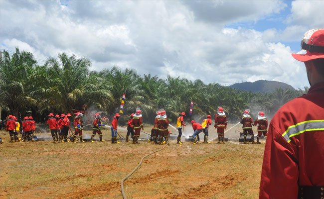 Akademisi : Kawasan Terbuka Rawan Karhutla