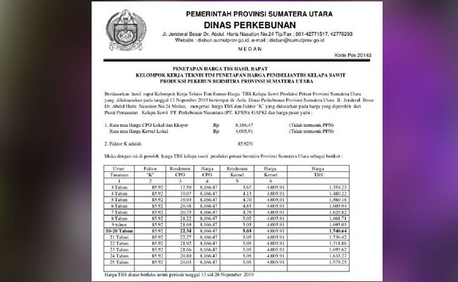 Harga TBS Sawit Sumut Periode 13-20 November 2019, Tertinggi Rp 1.740,64/Kg