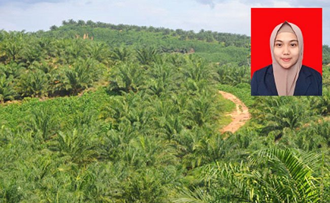 Kelapa Sawit Menggugat Uni Eropa