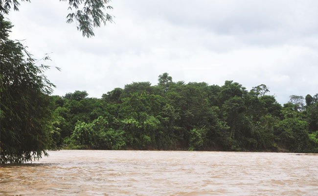 Perkebunan Kelapa Sawit Dukung KEE Kaltim Untuk Perlindungan Satwa Dilindungi