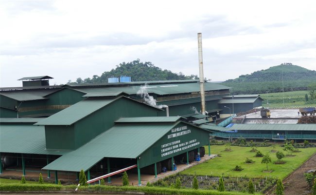 Perkebunan Kelapa Sawit PT KAL Peroleh Sertifikat RSPO
