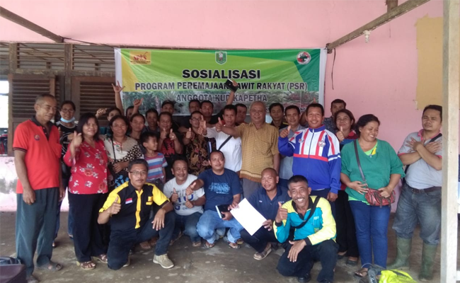 SPKS Lakukan Sosialisasi Peremajaan Sawit Rakyat Hingga Kelompok Tani
