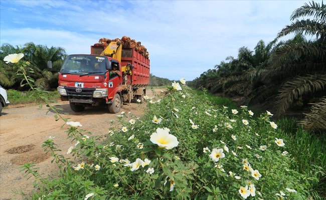 Astra Agro Peroleh ESG Award 2020