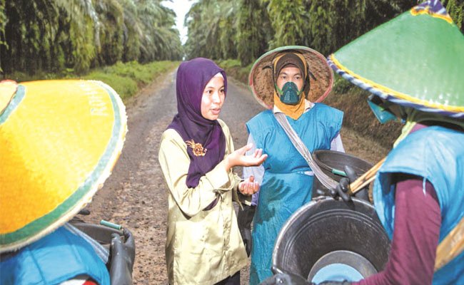Industri Sawit Pastikan Hormati Pekerja Perempuan