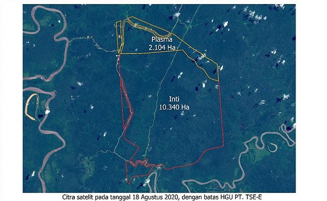Korindo Klaim Pembukaan Lahan Sawit di Papua Sesuai Aturan