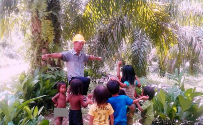 Petani Sawit ini Jadi Guru Demi Orang Rimba