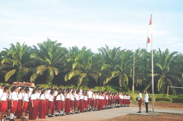 RSPO: Hak Asasi Wanita, dan Anak Dilindungi di Perkebunan Kelapa Sawit