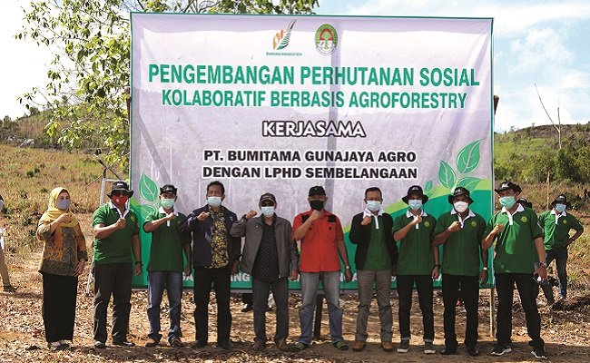 BGA Group, Bersama Masyarakat, Tanami Kembali Hutan Desa Sembelangaan