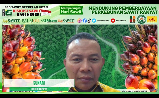BPDPKS: Program Peremajaan Sawit Rakyat Perlu Dukungan Pemerintah Daerah