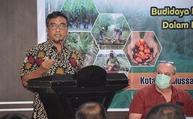 Earthworm Gandeng Musim Mas Bina Petani Swadaya Mengelola Kebun Sawit yang Baik