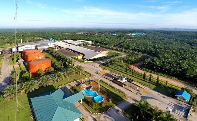Emiten Sawit SSMS Rancang Strategi Akuisisi PT CBU