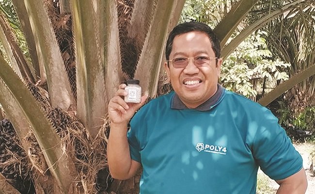 Genjot Produktivitas Kelapa Sawit Dengan Pupuk POLY4