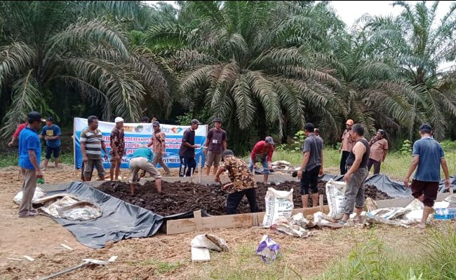 Harga Pupuk Melangit, Petani Sawit Anggota SPKS Tanjabarat Buat Pupuk Organik
