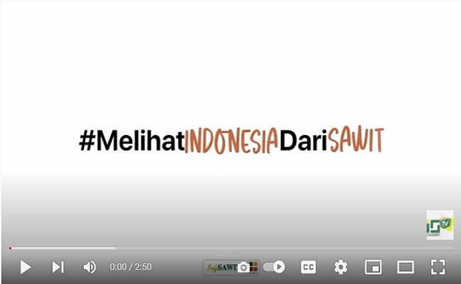Melihat Indonesia dari Sawit