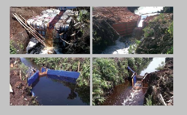 Mengelola Muka Air di Kebun Sawit, Hindari Penggunaan Stop Blok Non Permanen