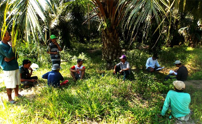 Petani Sawit Butuh Dukungan dari Pemerintah, 4 Kendala ini Mesti Segera Diselesaikan