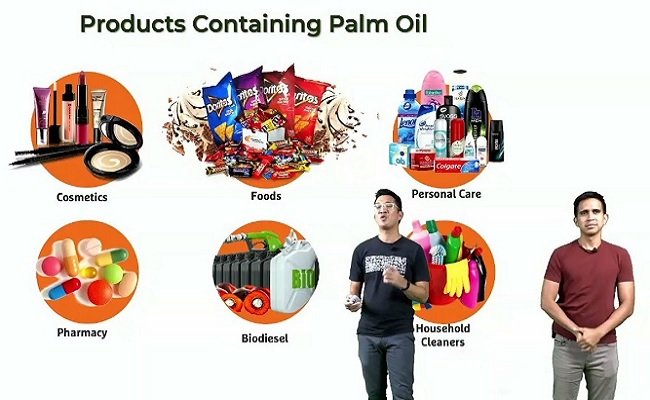 RSPO Dorong Serapan Minyak Sawit Berkelanjutan Bersertifikat Melalui Virtual Tour