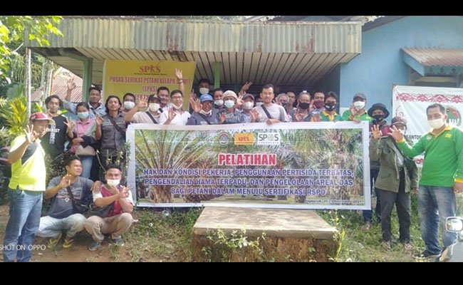 SPKS Bersama PT Agro Andalan, Adakan Pelatihan Menuju Sertifikasi RSPO