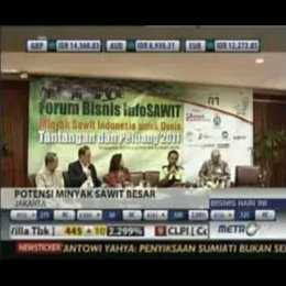 Cuaca dan Infrastruktur Jadi Penghambat Industri Hilir Sawit 