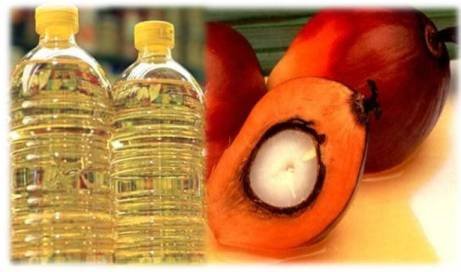 Harga CPO Tetap Tinggi  