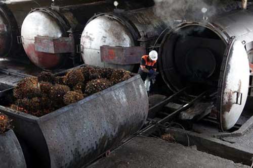 Hilir pun Didorong Sustainable