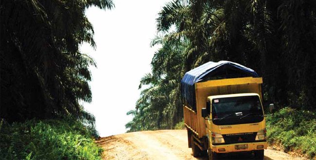 INFO REGULASI : Asing Boleh Kuasai Kebun Nasional  