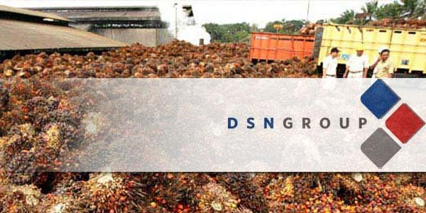 Kuartal III-2014, Laba Bersih DSN Naik 323% 