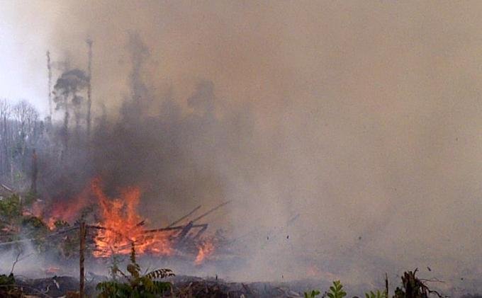 Masyarakat Berperan Penting Dalam Pencegahan Karhutla 