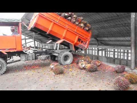 Perusahaan Jasa Angkutan Sawit Bentuk Asosiasi