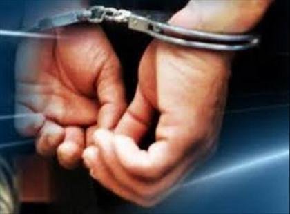 Polisi Amankan 4 Orang Penambang Di Kebun Sawit PT. GSBL