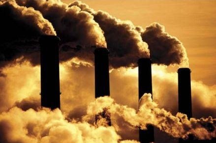 Sawit Pangkas Emisi Karbon