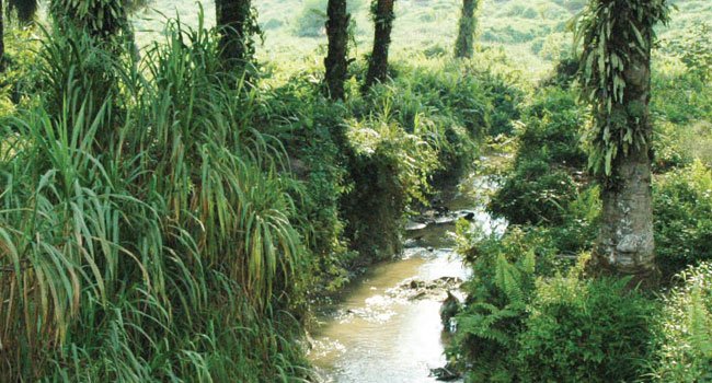 KOMPENSASI DAN REMEDIASI, PENEBUS KERUSAKAN LINGKUNGAN