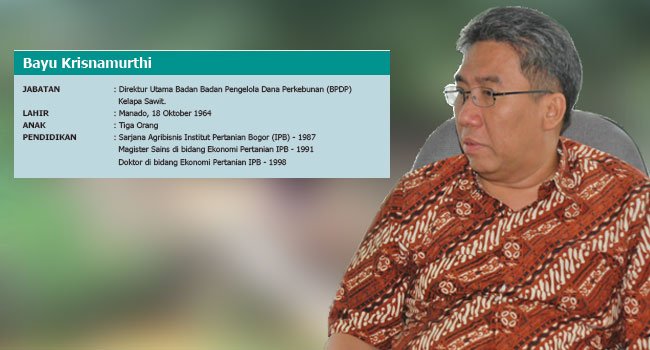 PERBESAR  CERUK PASAR  DOMESTIK