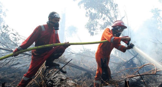 SOLUSI ATASI KEBAKARAN HUTAN DAN LAHAN