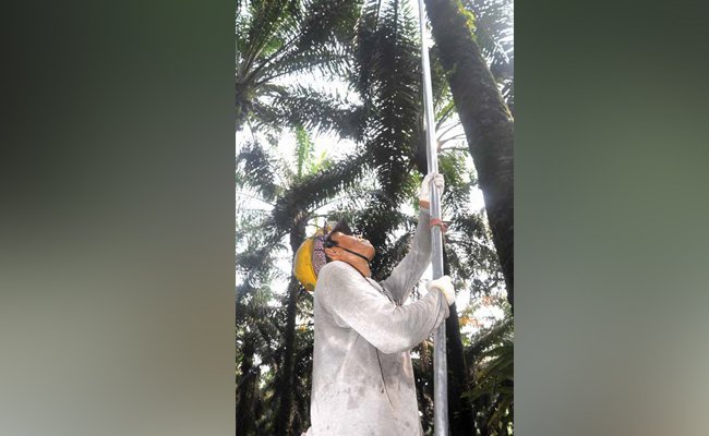 MORATORIUM SAWIT, KORBANKAN PETANI?