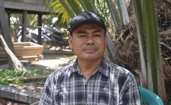 Pilih Membudidayakan Sawit