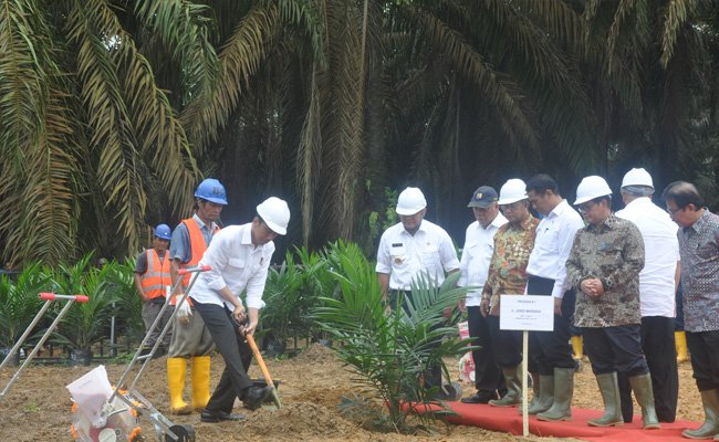 Dari Sumatra, Presiden Jokowi Awali Peremajaan Sawit Rakyat