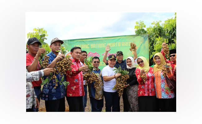 Gubernur Kalteng Tinjau Kebun Bibit Buah Desa Bukit Batu Binaan BGA Group