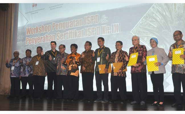 ISPO DIANGGAP MASIH BELUM SESUAI HARAPAN