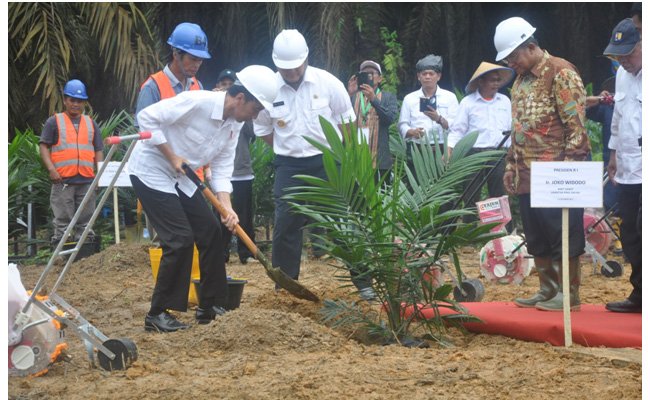 Presiden Jokowi Resmi Luncurkan Program Peremajaan Sawit