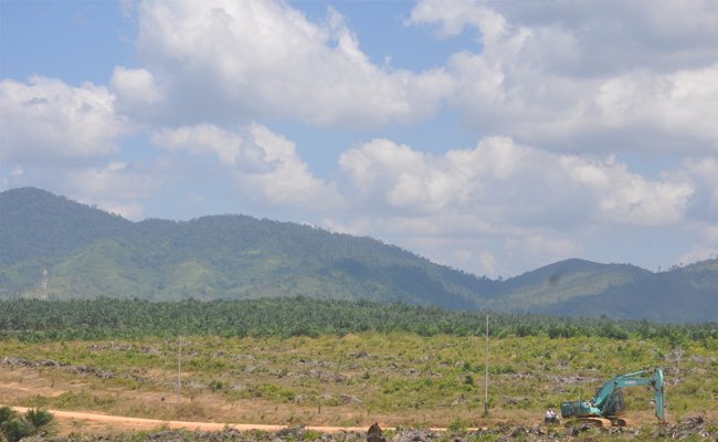 Tumpang Tindih Perizinan Lahan Perkebunan Rugikan Masyarakat