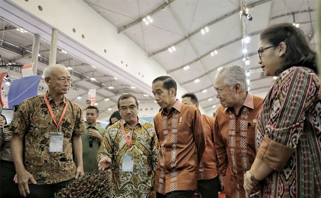 Asian Agri Dukung Peremajaan Sawit Rakyat
