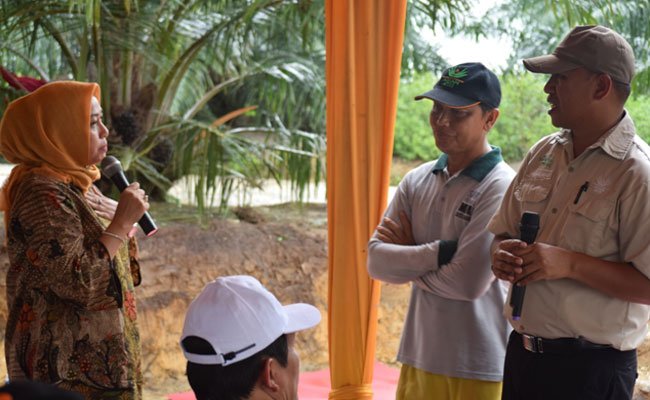Kemitraan Kunci Program Peremajaan Sawit Rakyat
