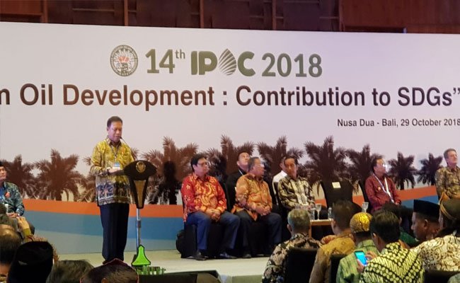 Ketum GAPKI: Dukungan Pemerintah Untuk Industri Sawit Penting