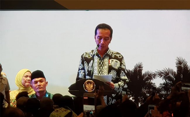 Lima Pesan Presiden Terkait Kelapa Sawit Kepada Para Pelaku