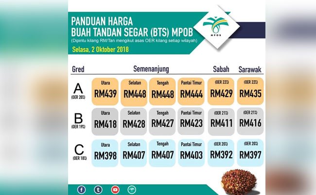 Pungutan Dana Sawit Gerus Harga TBS Petani Rp 125/Kg