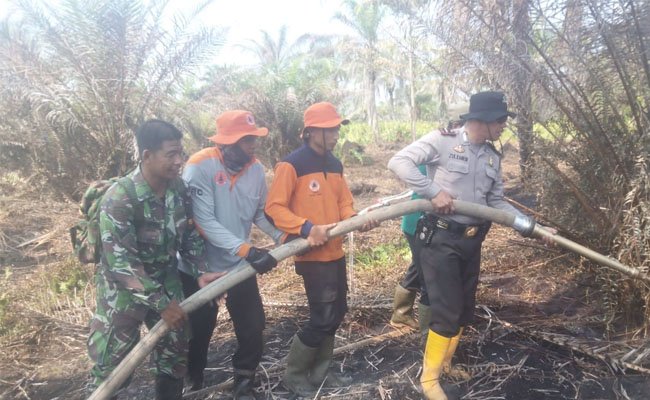 55 Perusahaan Pemegang Konsesi Sawit dan HTI Terkait Karhutla Diselidiki